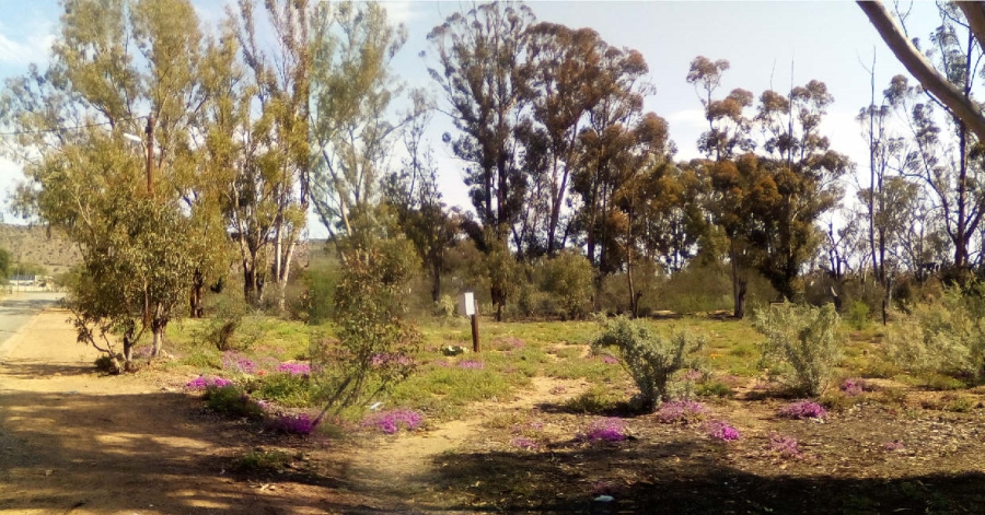 Commercial Property for Sale in Willowmore Eastern Cape